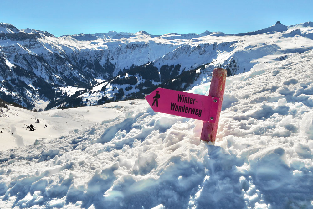 winter hiking tours with giger-tours.ch